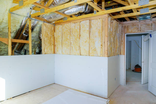 Types of Insulation We Offer in Mount Dora, FL